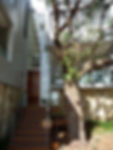 Montpellier place - Manly