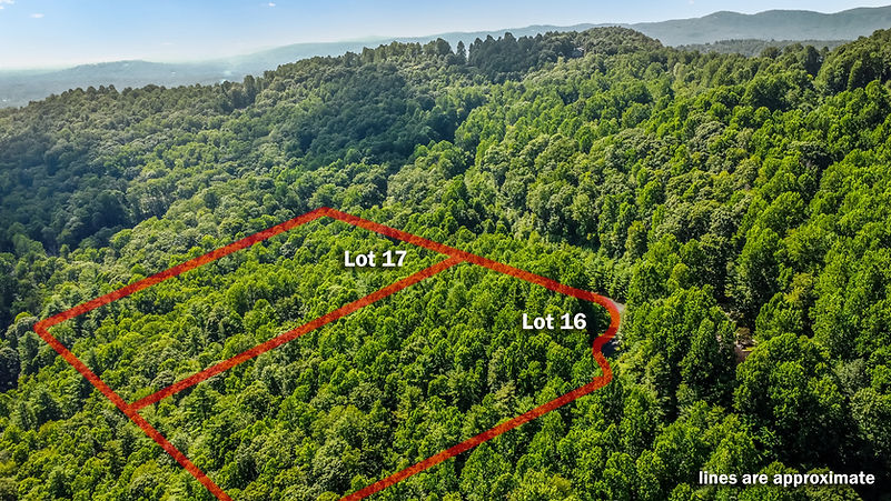 approx lines other view with both lots.jpg