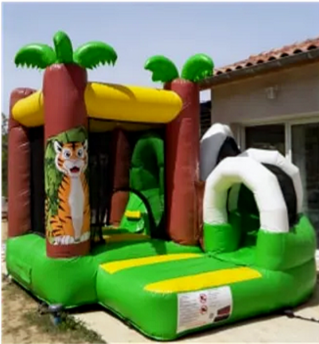 chateau-mini-tigre_edited.png