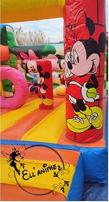 Château Mickey et Minnie