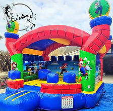 Château Mario ellanime