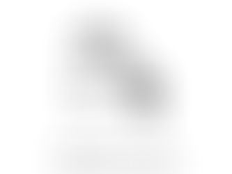 the human group - session 78 - taking stock