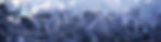 Screenshot_2025-03-24_093204_non_transparent_edited_edited.jpg