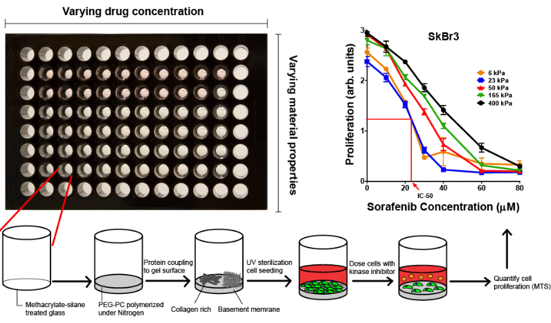 New Drug Screening Platform