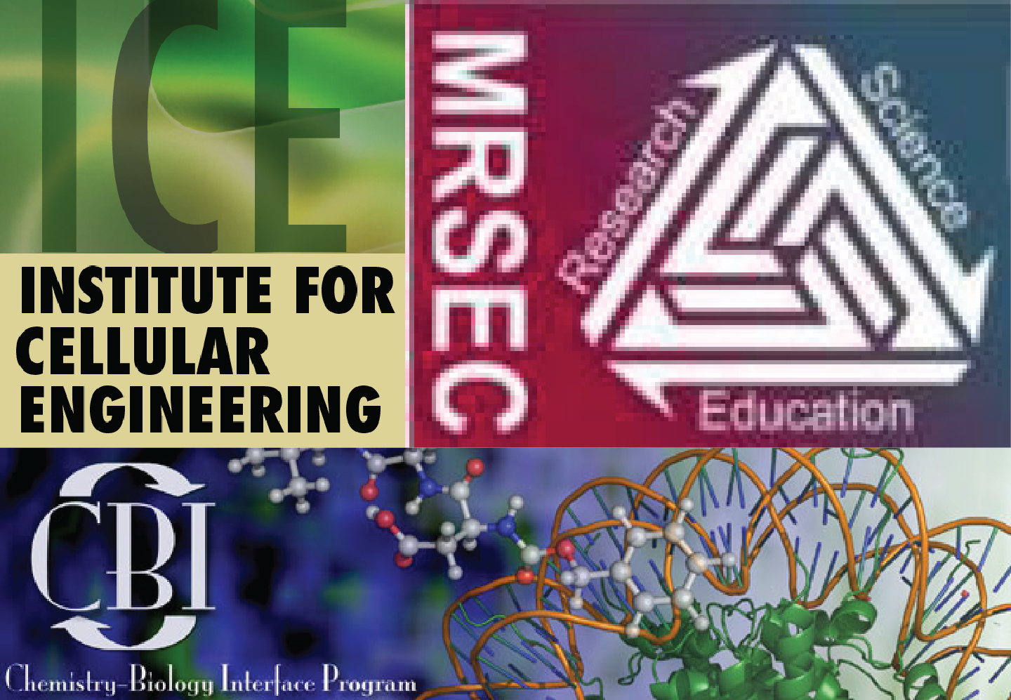 Institutes at UMass Support Us!
