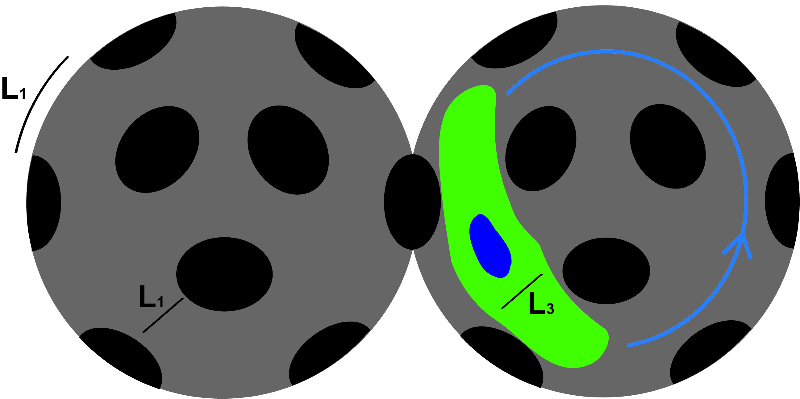 Modeling 3D Cell Motility