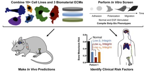 Predicting metastasis