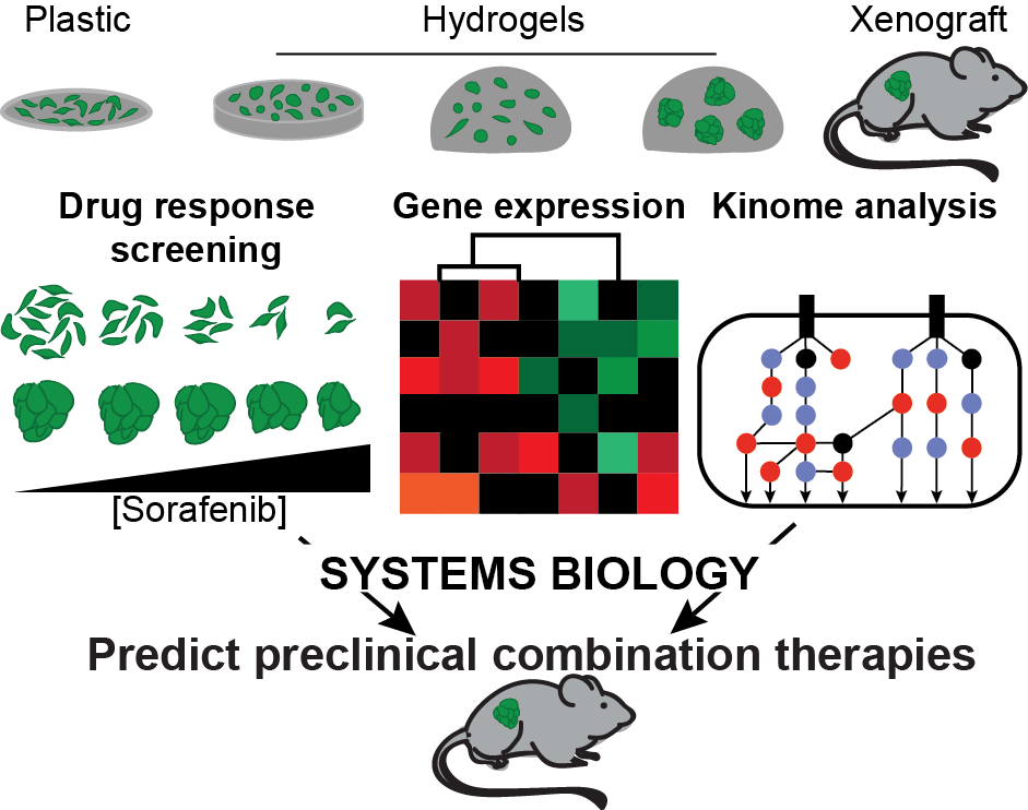 Biomaterials and Systems Biology