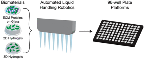 Complementary, semiautomated methods for creating multidimensional PEG-based biomaterials