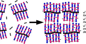 Networks from highly crosslinked polymer combs