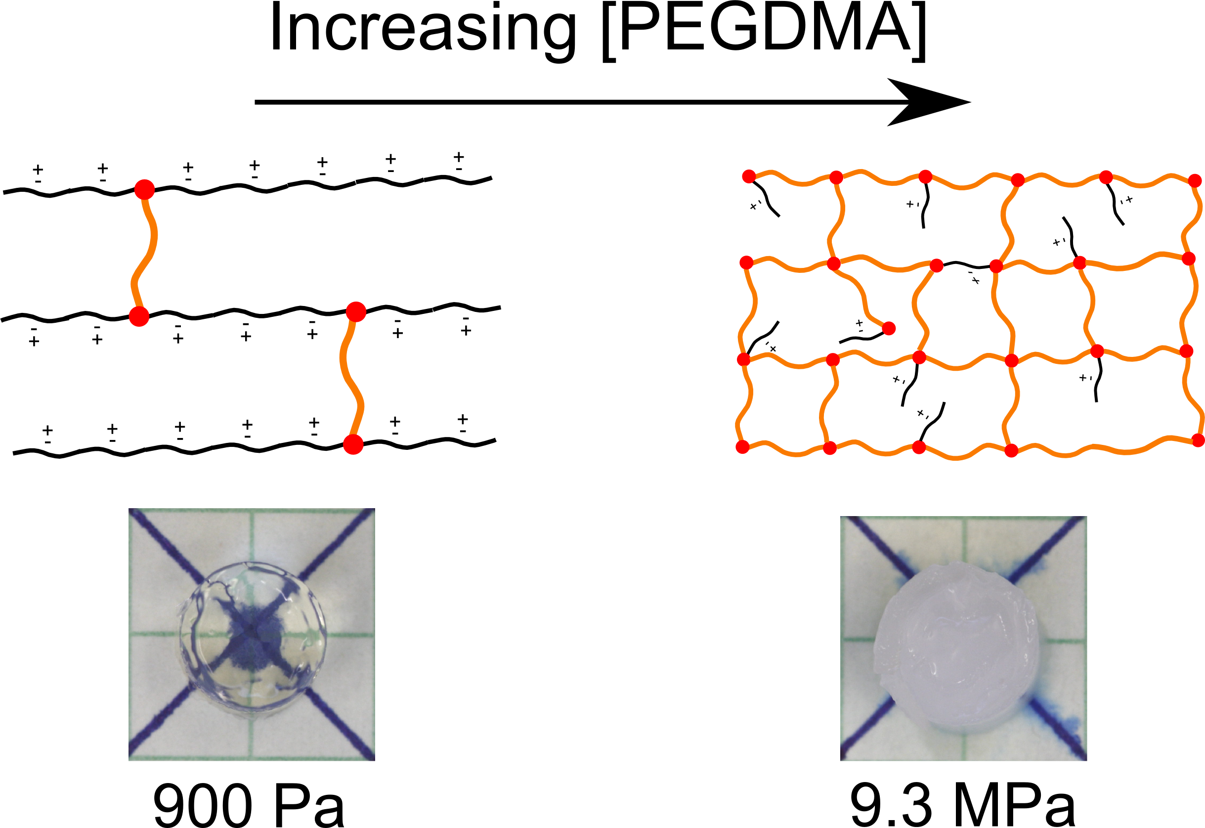 Hydrophilic Zwitterionic Gels