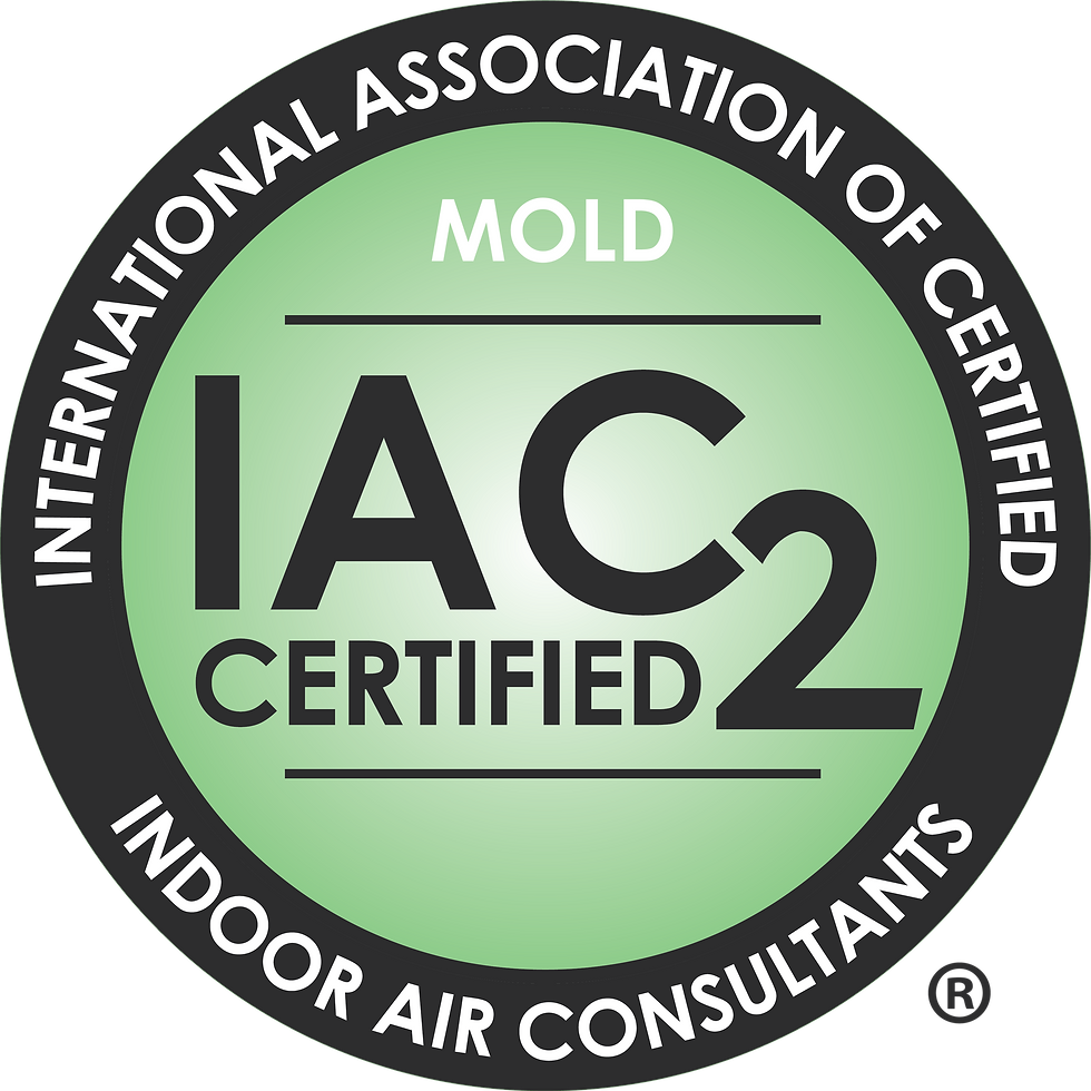 IAC2_logo_mold 2.png