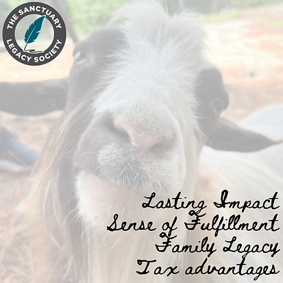 FreeWill header image (3).png