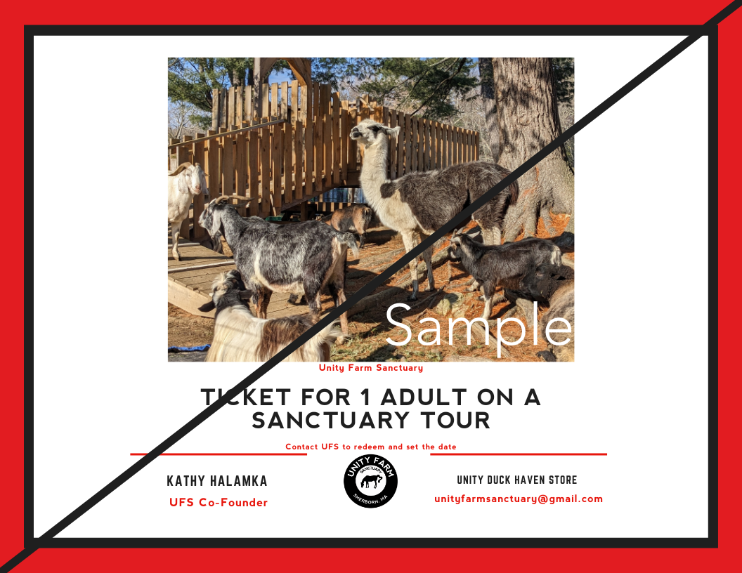 Tour Ticket Gift Certificate