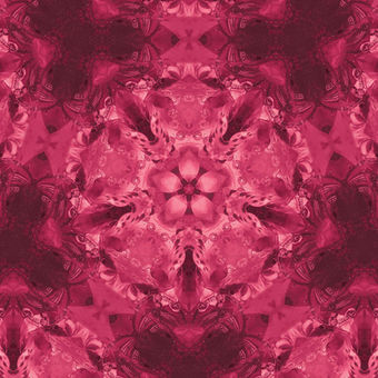 Carpet Design Bückeburg | Color 06 Enchanted Raspberry Red