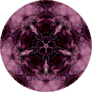 Das gesamte zentrale Ornament des runden Teppichs ist schliche in seiner Farbanmutung eine dunkel-lila Schönheit. The color of the entire central ornament of the round carpet is a dark purple beauty.