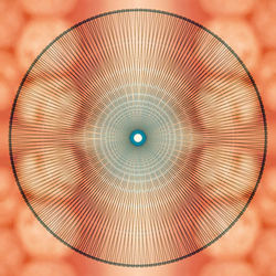 03-003-01-05 Yoga Orange Detail 4