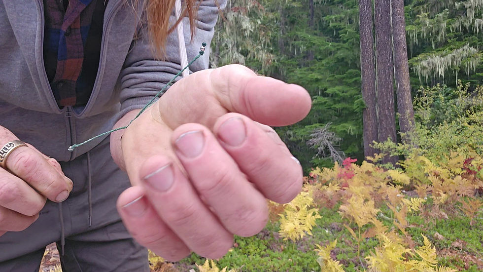Thumbnail: Amanita Muscaria Bracelet