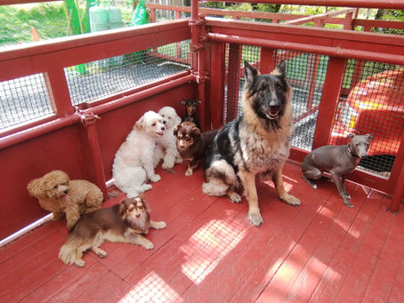 『 1年で、1番過ごしやすい時期となりました 』