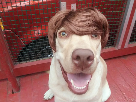 飼い主様に伝えたい事 vol.24