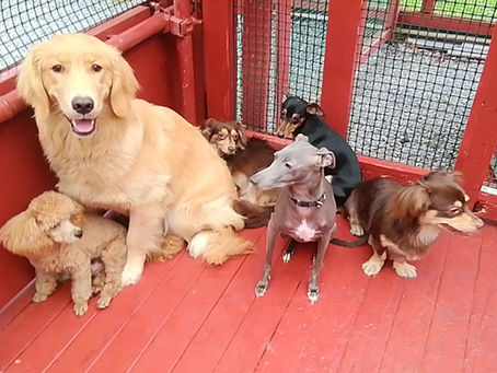 『 GW始まります 』