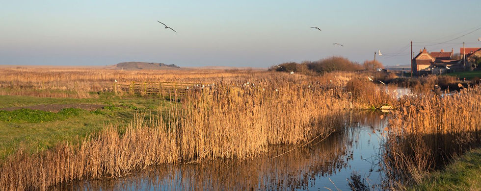 Salthouse