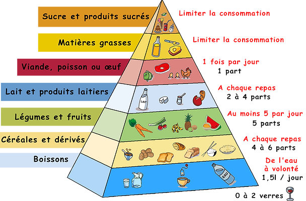 PYRAMIDE ALIMENTAIRE.png