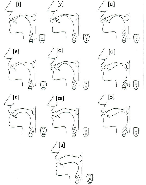 PROFIL VOYELLES.jpg