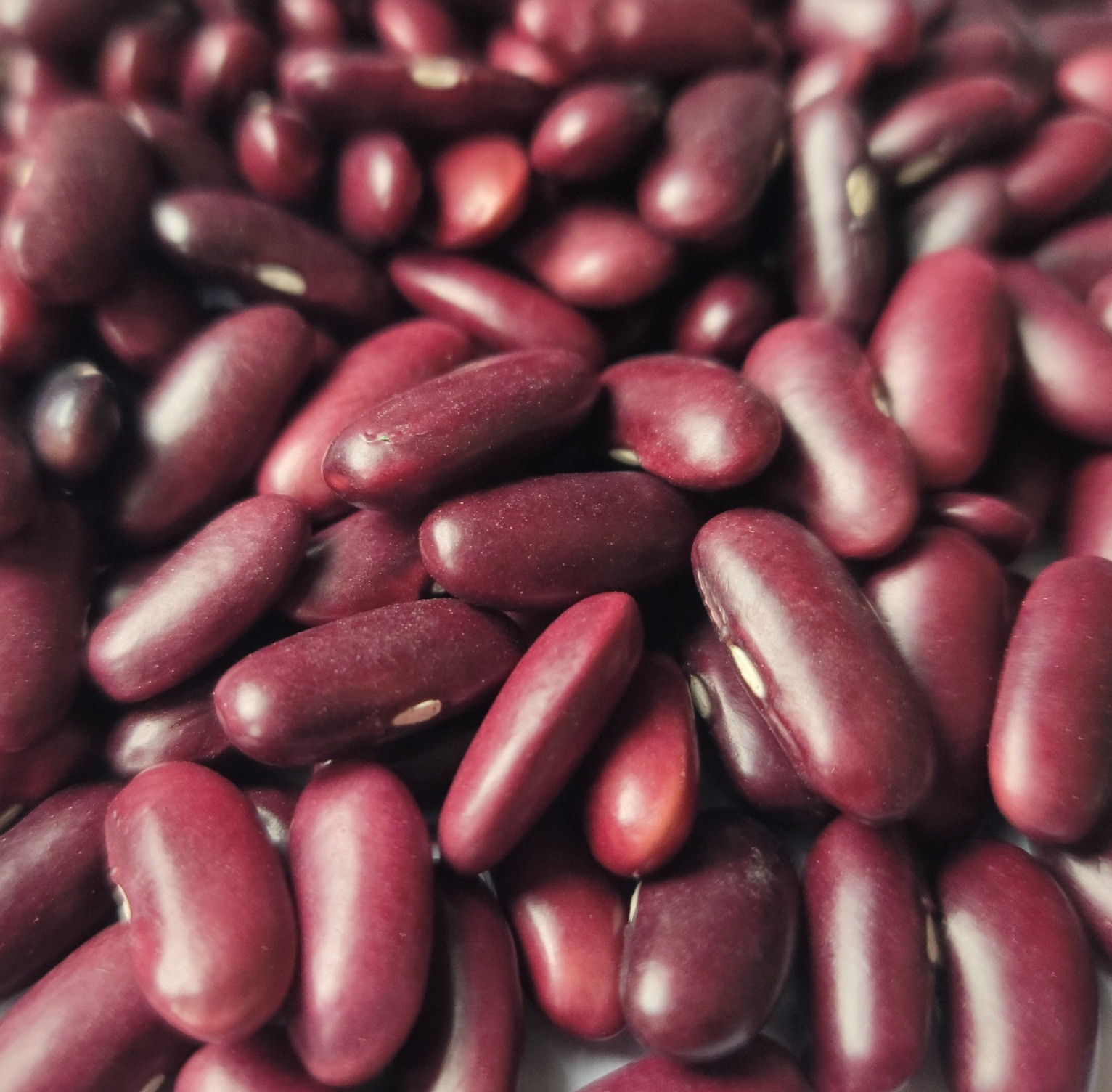 Red kidney beans