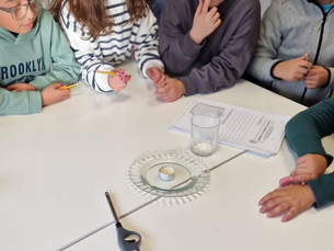 MESA DA CIENCIA EN GALEGO