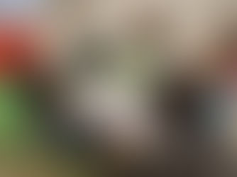 ENTREVISTA A XORNALISTA DE "LA REGIÓN" CONCHA CANEIRO NA RADIO FACHÓN