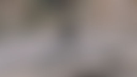 The Mystery of Bigfoot Lives On