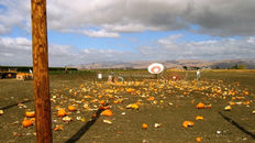 My Scary Travels: Punkin' Chunkin' 2005