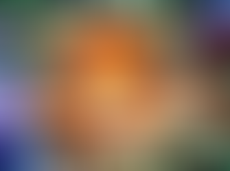 The Scandalous $19.99 Rental and the End of Cinema