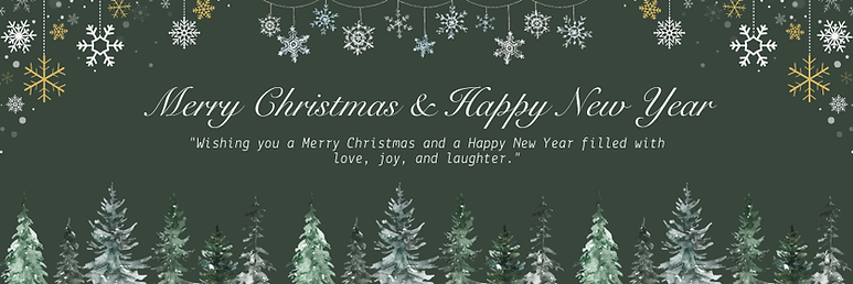 Merry Christmas and Happy New Year.png