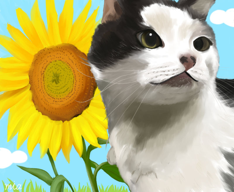 こ