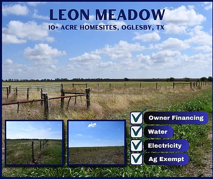 Leon Meadow Ranchettes