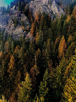 grouse mountain view oil_edited.jpg
