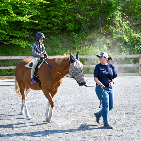 Emerald Hollow TRC Lessons