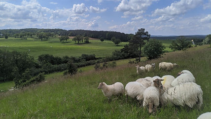ferme jambjoule.jpg