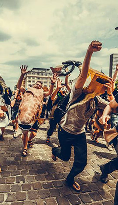 a_EZLN_credit EZLN - François Dvorak.jpg