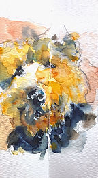 7ACAF111-CC2A-4B63-8A9E-126CEB6F147A_edi