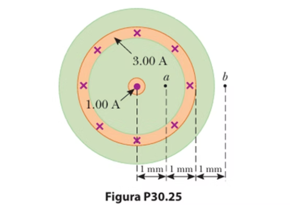 Esquema del ejercicio 5