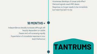 Why Do Some Children Have Such Huge Tantrums?