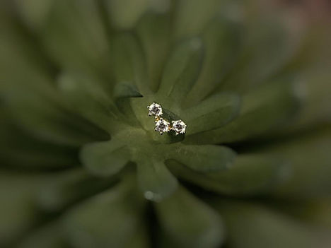 WhatsApp Image 2023-01-17 at 11.53.28 (2).jpeg