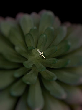 WhatsApp Image 2023-01-17 at 11.53.28 (8).jpeg