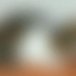 固まっちゃった