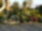 mystic garden.JPG