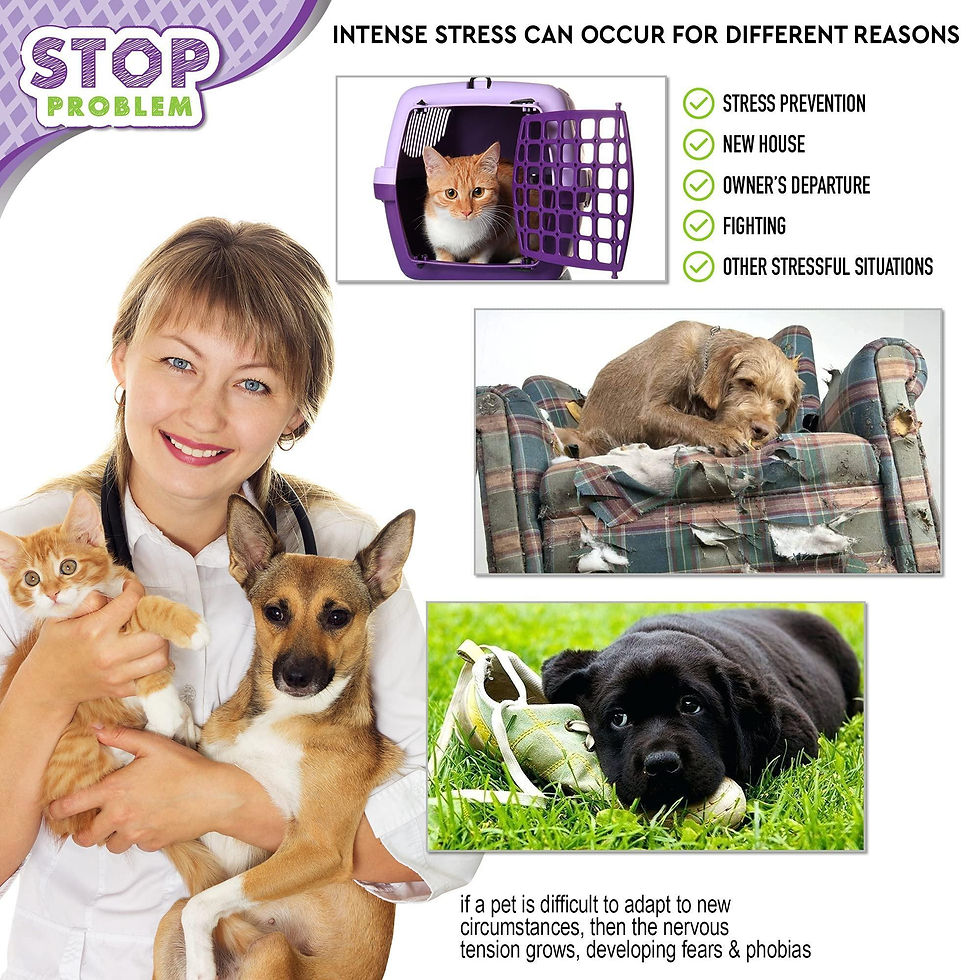 Thumbnail: Cat Calming Diffuser Pet Anti Anxiety Feline Pheromones Plug in Stress Relief