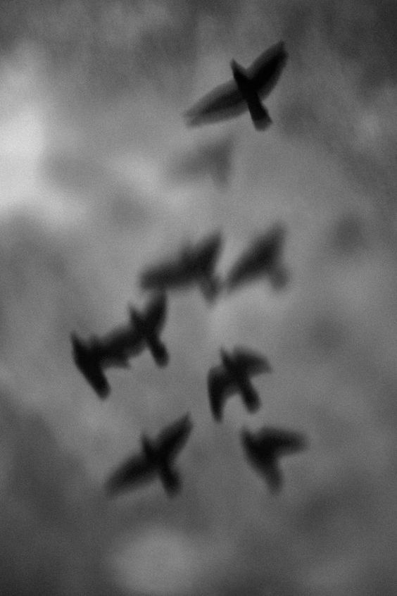 bw6.jpeg